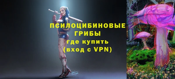 spice Магадан