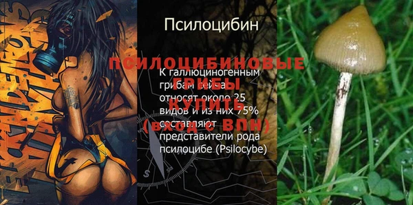 spice Магадан