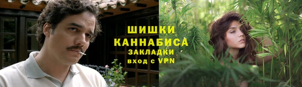 прущие грибы Майский