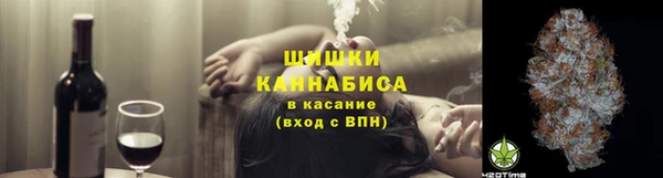 прущие грибы Майский