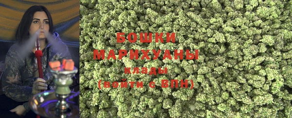 прущие грибы Майский